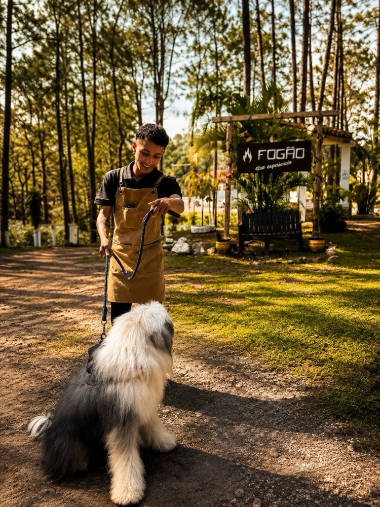 Perro sentado en el jardín junto a un mesero